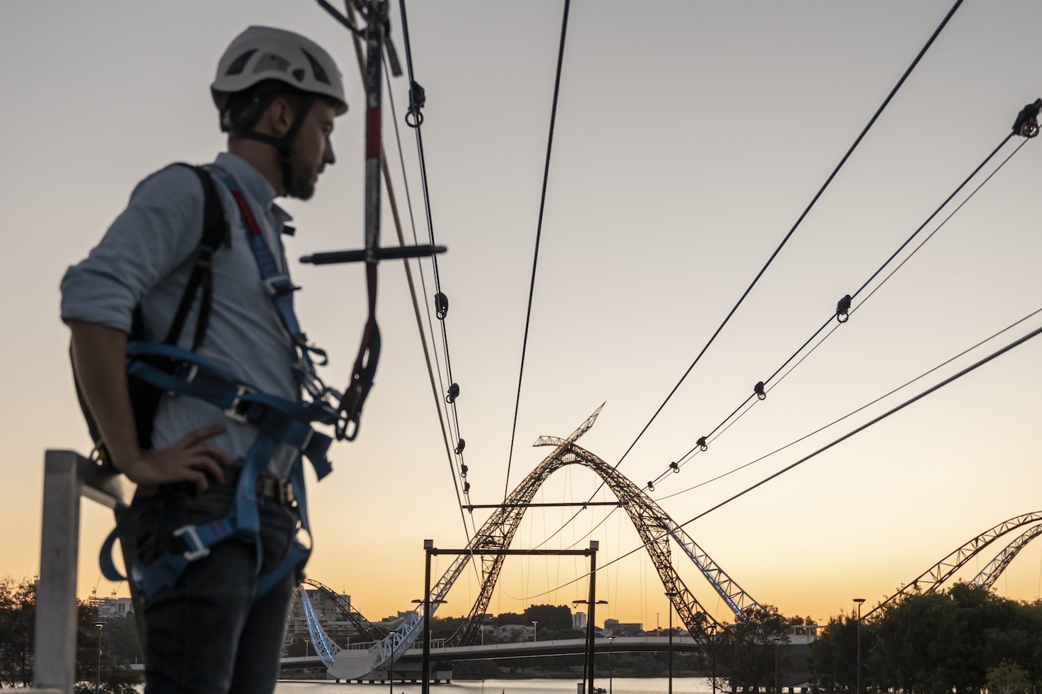 Incentivize Options CC Journey Sop